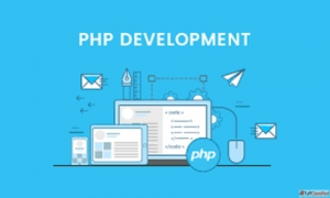 PHP Developers & Wordpress Developers